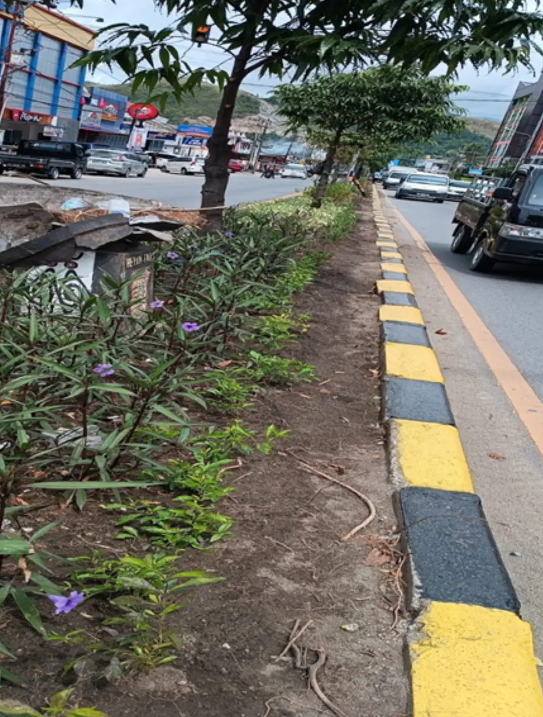 Gambar ke-3 dari Perawatan & Pemeliharaan Taman